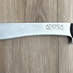 Atienza Apocalypse Trainer